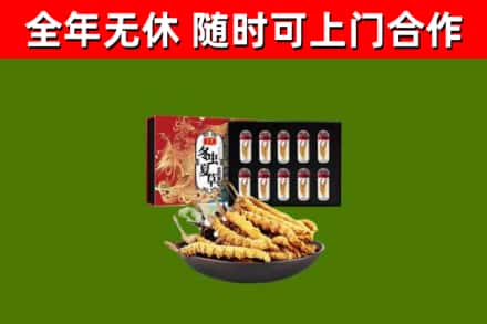 潮州市回收冬虫夏草价格
